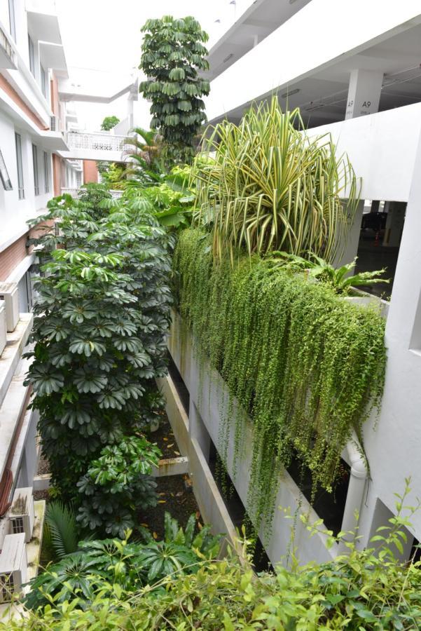 My Daily Homestay - Miri Times Square Extérieur photo